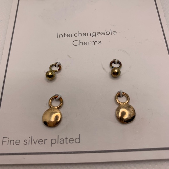 Gold and Silver Interchangeable Earrings Set with Charms - Picture 5 of 8